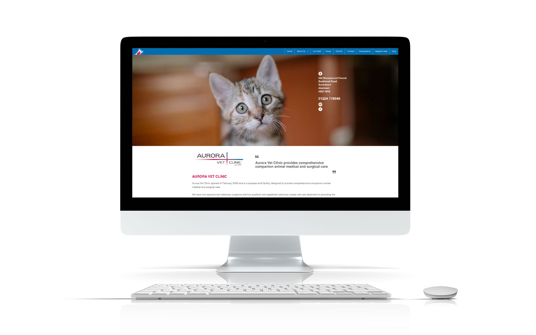 Aurora Veterinary Clinic website